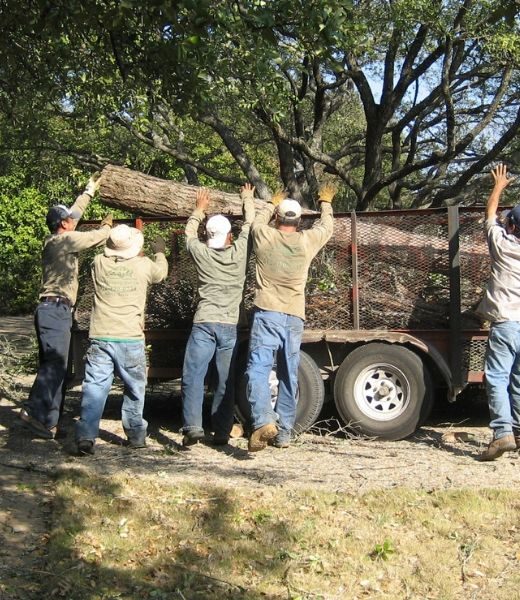 Lot Clearing and Debris Hauling