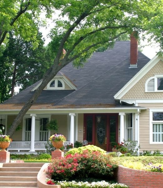 How Far Should Branches Be From Your Roof