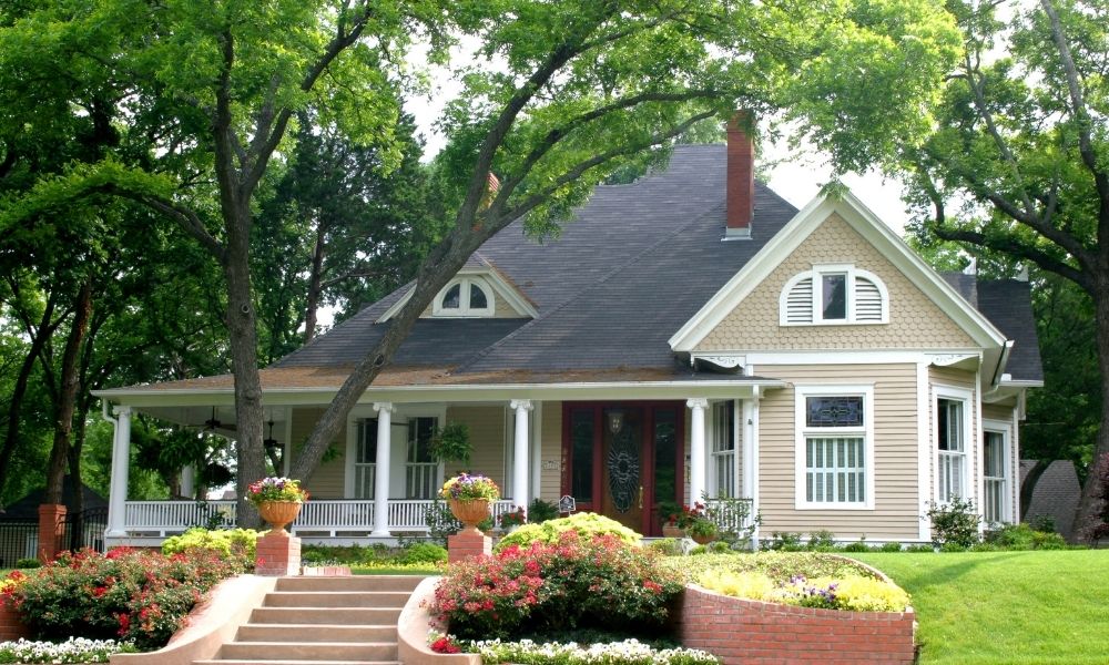 How Far Should Branches Be From Your Roof