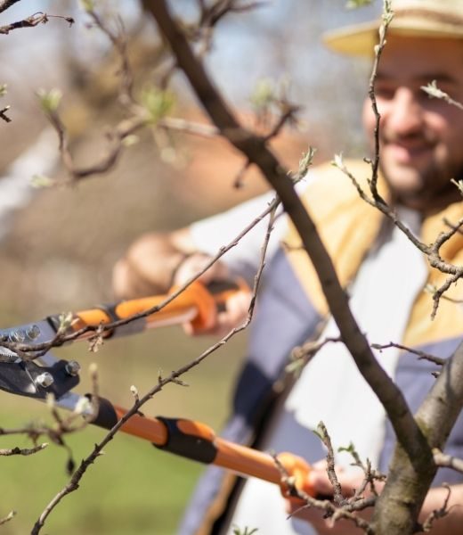 Techniques for Correcting Badly Pruned Trees